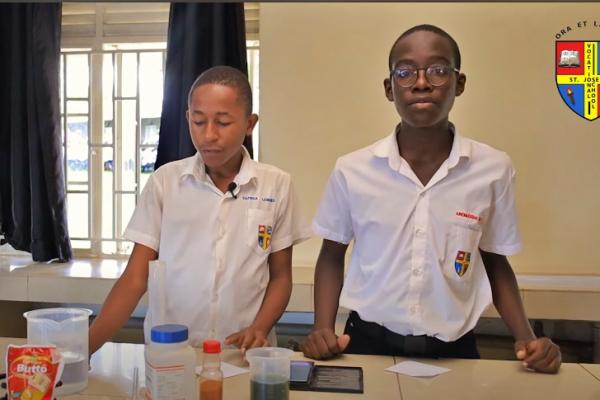 How a Student Made a Homemade Insecticide
